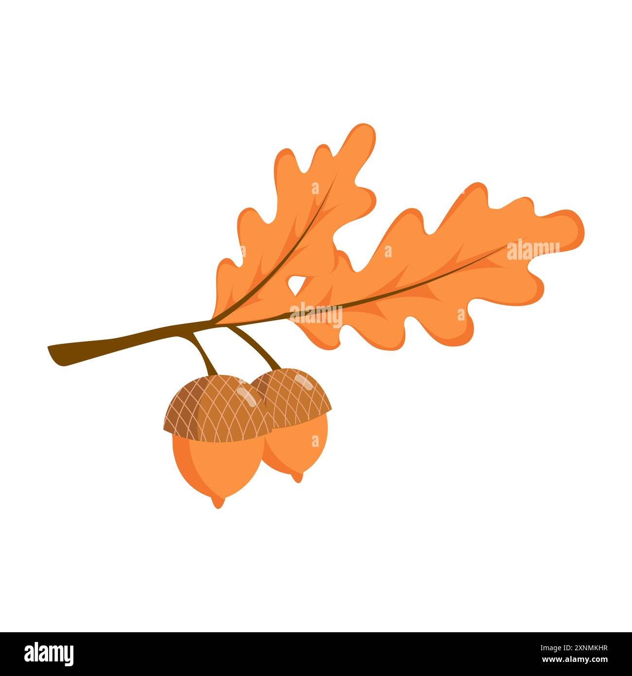Il Ramo Di Quercia Con Le Ghiande Ed Asciuga Le Foglie Illustrazione di