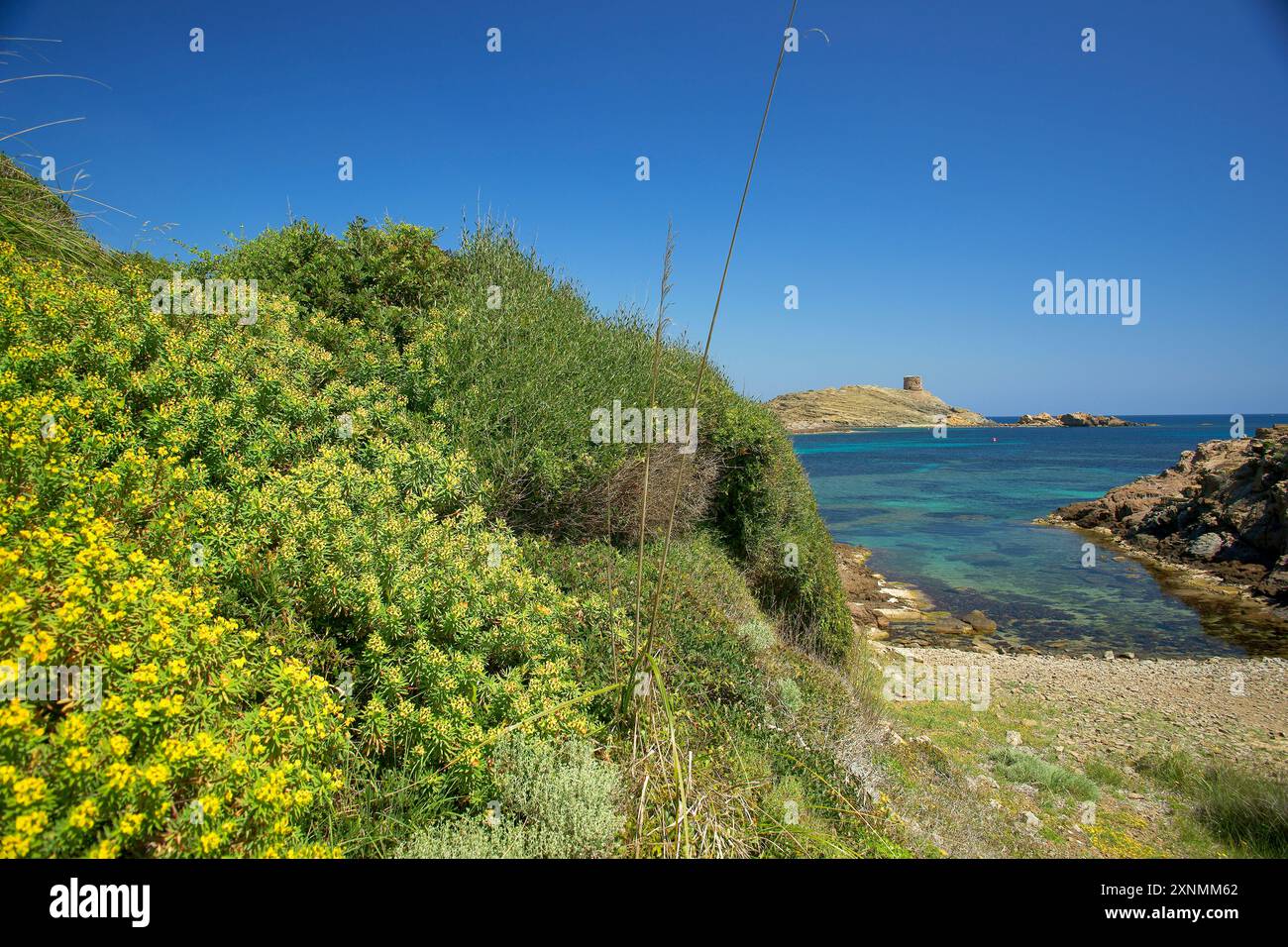 Cala Tamarells, Parc Natural de S'Albufera des Grau, Menorca, riserva della Biosfera, Isole Baleari, Spagna Foto Stock