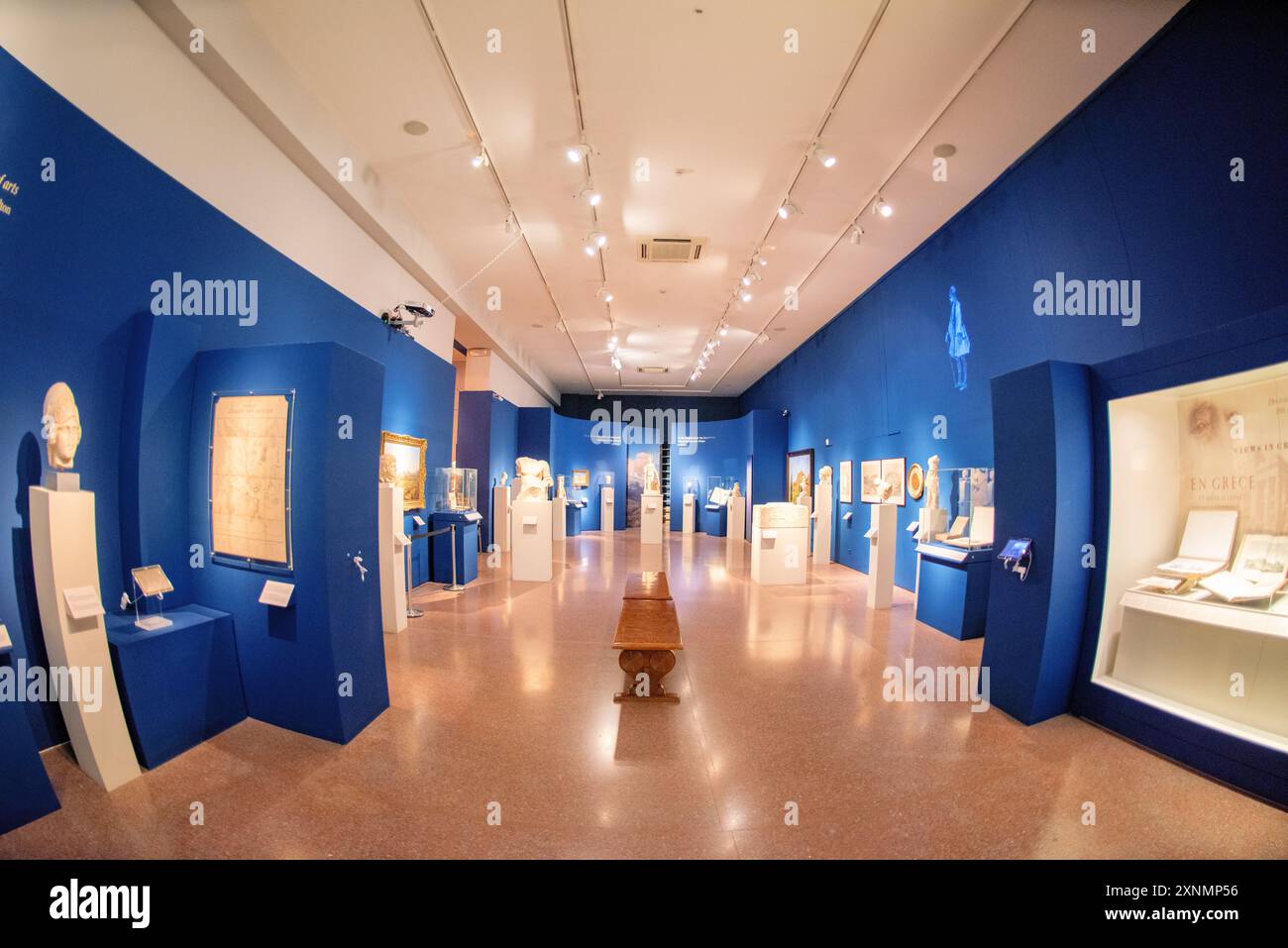 Museo Archeologico Nazionale Arte greca antica Atene Grecia // ATENE, Grecia - il Museo Archeologico Nazionale di Atene ospita una vasta gamma di sculture e statue, che rappresentano alcuni dei migliori esempi di arte greca antica. La collezione del museo copre diversi periodi storici, tra cui l'era arcaica, classica ed ellenistica, che mostrano l'evoluzione della scultura greca nel corso dei secoli. I visitatori possono ammirare opere iconiche come l'Afrodite di Arles e le statue di Kouros, che riflettono l'eccellenza artistica e il patrimonio culturale dell'antica Grecia. Foto Stock