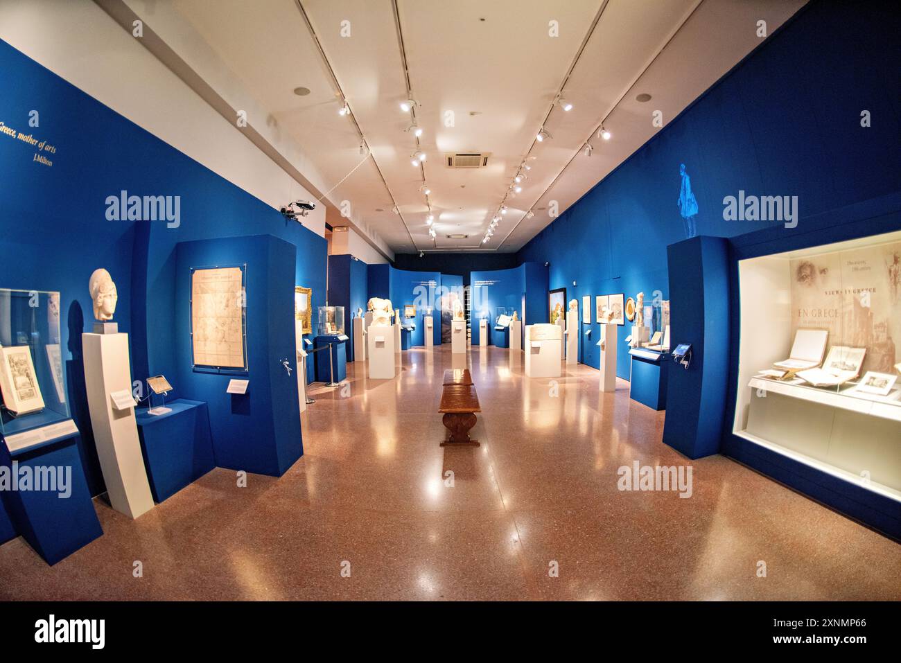 Museo Archeologico Nazionale Arte greca antica Atene Grecia // ATENE, Grecia - il Museo Archeologico Nazionale di Atene ospita una vasta gamma di sculture e statue, che rappresentano alcuni dei migliori esempi di arte greca antica. La collezione del museo copre diversi periodi storici, tra cui l'era arcaica, classica ed ellenistica, che mostrano l'evoluzione della scultura greca nel corso dei secoli. I visitatori possono ammirare opere iconiche come l'Afrodite di Arles e le statue di Kouros, che riflettono l'eccellenza artistica e il patrimonio culturale dell'antica Grecia. Foto Stock