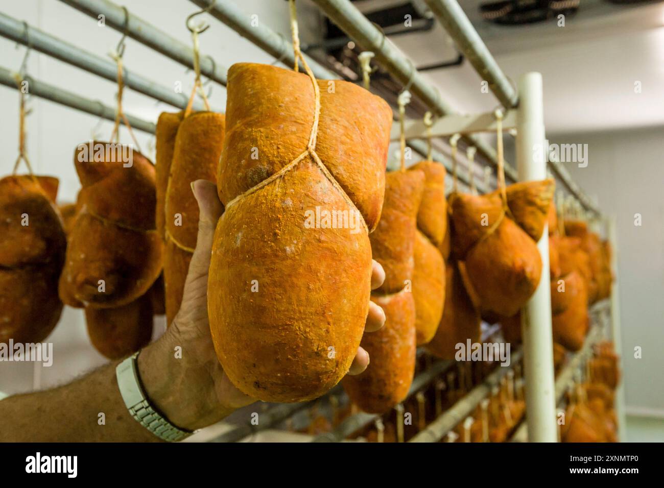Sobrassada de Menorca, produzione artigianale di salsicce Alaior, Minorca, Isole Baleari, Spagna Foto Stock