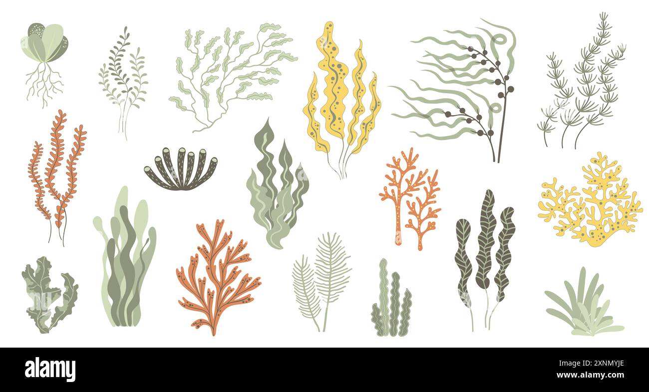 La barriera corallina o le alghe trasportano piante sottomarine Illustrazione Vettoriale