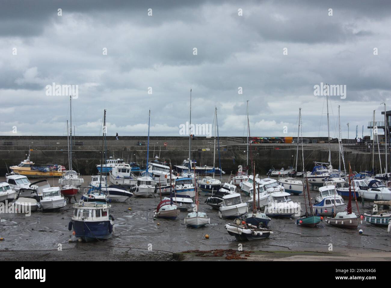 Il porto di Saundersfoot con la marea fuori, Galles, Regno Unito Foto Stock