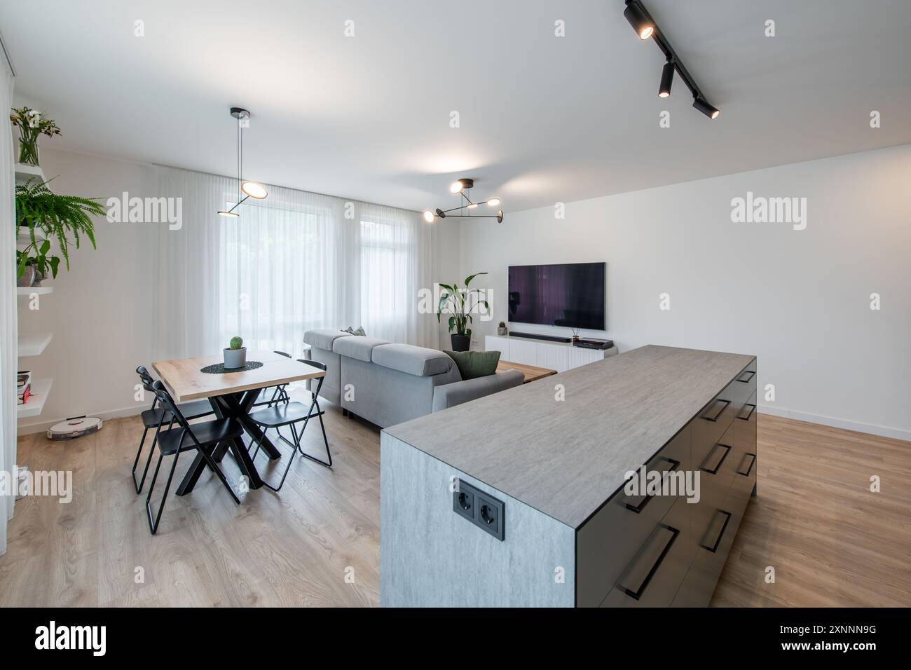 Moderno soggiorno e cucina interna. Lussuoso ed elegante appartamento moderno. Interni aperti, elegante divano, divano. Grandangolo Foto Stock