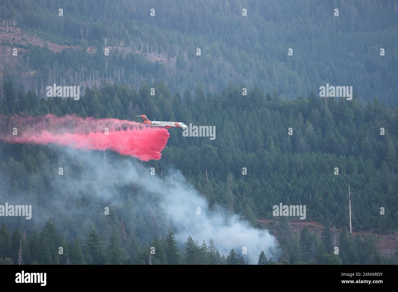 Chico, California, Stati Uniti. 1° agosto 2024. L'aereo cade in rosa. I vigili del fuoco continuano a combattere il fuoco del parco fuori Chico, nelle contee di Butte e Tehama della California settentrionale. Il Park Fire ha ora bruciato oltre 392.480 acri, rendendolo il quinto più grande incendio nella storia della California. (Immagine di credito: © Cal Fire/Wildfire Image) SOLO PER USO EDITORIALE! Foto Stock