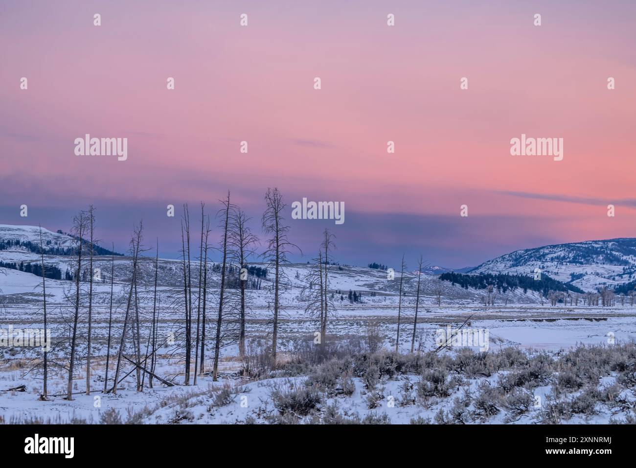 Alba sulla Lamar Valley nelle fredde mattine invernali, parco nazionale di Yellowstone, Wyoming, Nord America Foto Stock