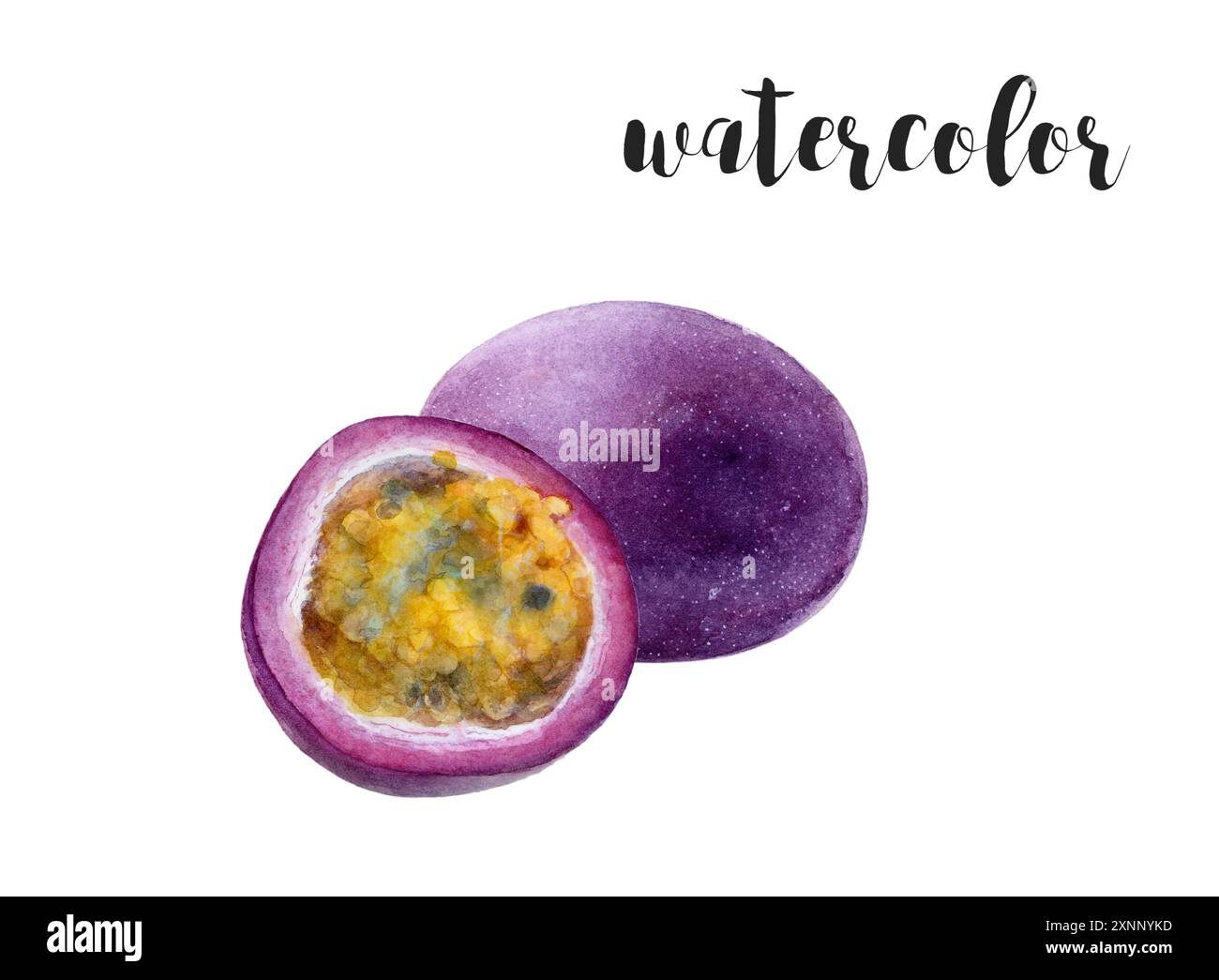 Illustrazione dell'acquerello del frutto della passione Arte botanica creativa dal design vivace Foto Stock