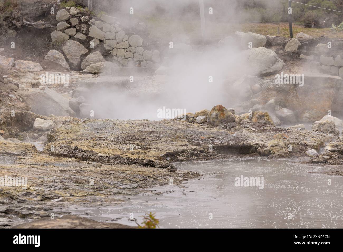 Fumarole a Furnas Hot Springs, Isola di Sao Miguel, Azzorre, Portogallo Foto Stock