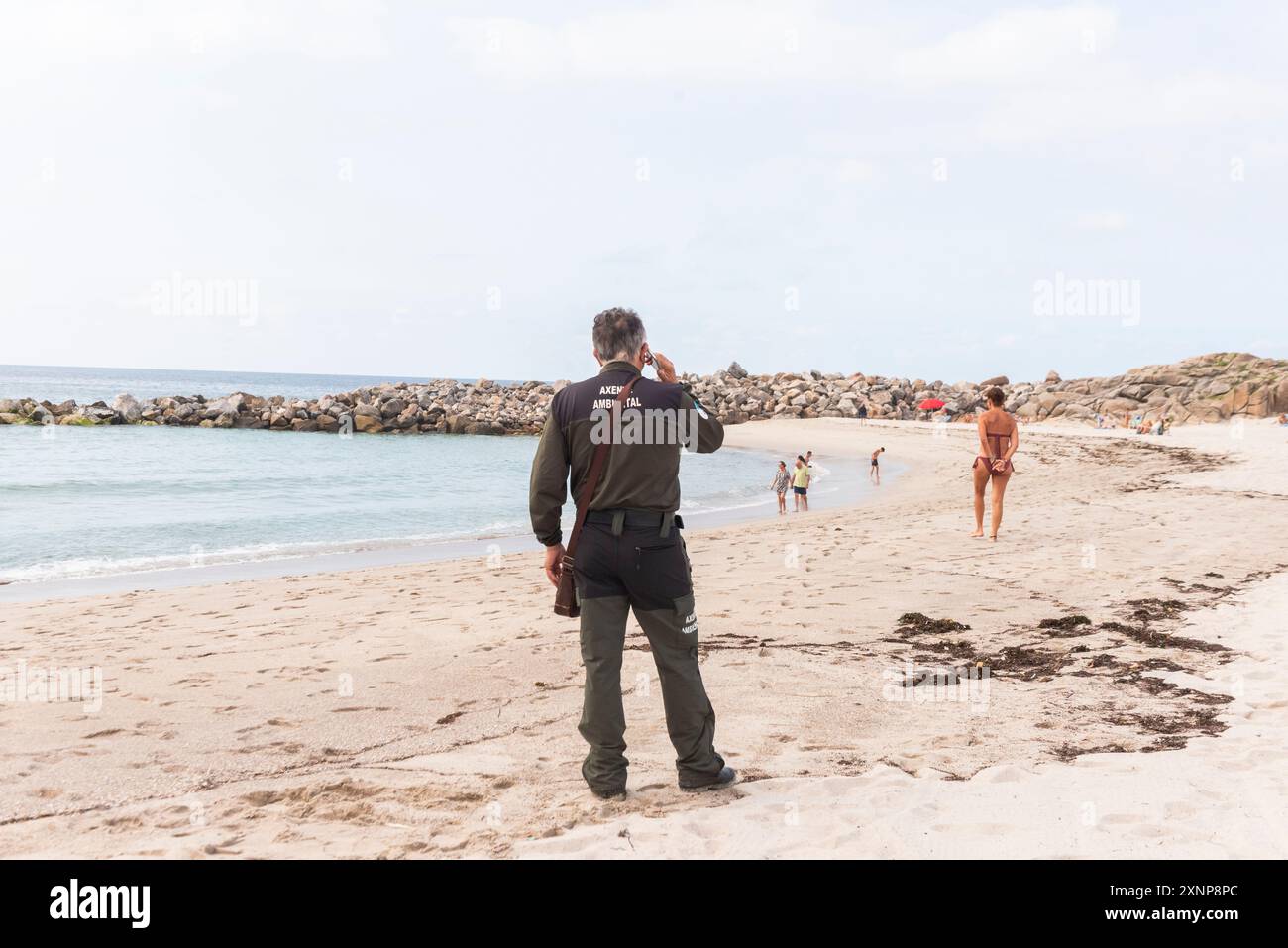 Burela, Galizia, Spagna. 1 agosto 2024. Squadre di guardie costiere della Galizia e delle brigate municipali che assaggiano l'inquinamento da olio combustibile sulle spiagge del Mar Cantabrico. Credito. Xan Gasalla /Alamy Live News Foto Stock
