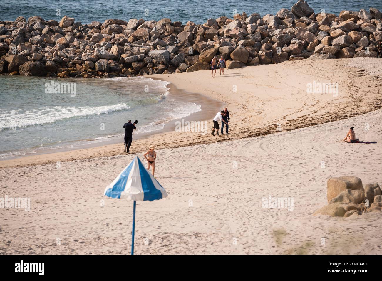 Burela, Galizia, Spagna. 1 agosto 2024. Squadre di guardie costiere della Galizia e delle brigate municipali che assaggiano l'inquinamento da olio combustibile sulle spiagge del Mar Cantabrico. Credito. Xan Gasalla /Alamy Live News Foto Stock