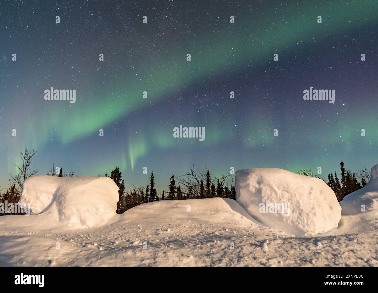 Aurora boreale/aurora boreale, nella neve profonda, Fairbanks, Alaska Foto Stock