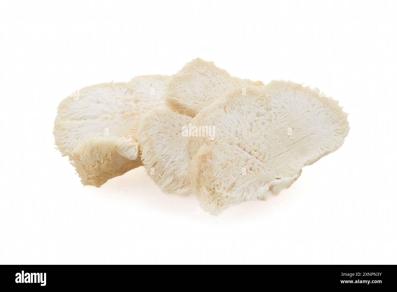 Fungo di Lion's Mane su sfondo bianco. Foto Stock