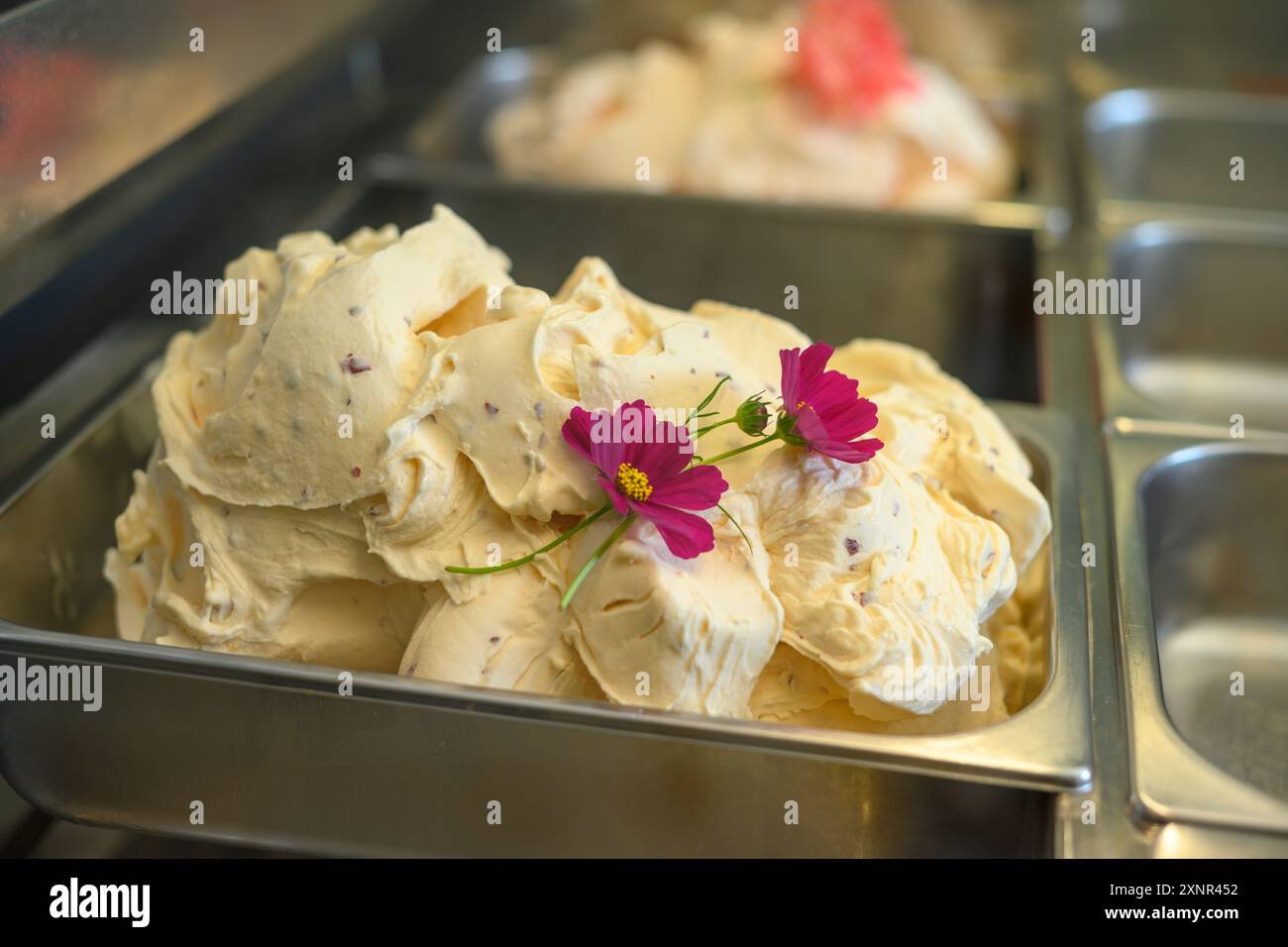 Primo piano di gelato cremoso in un contenitore di metallo, decorato con fiori rosa. Il gelato ha una consistenza liscia ed è di colore chiaro, suggerendo un ricco Foto Stock