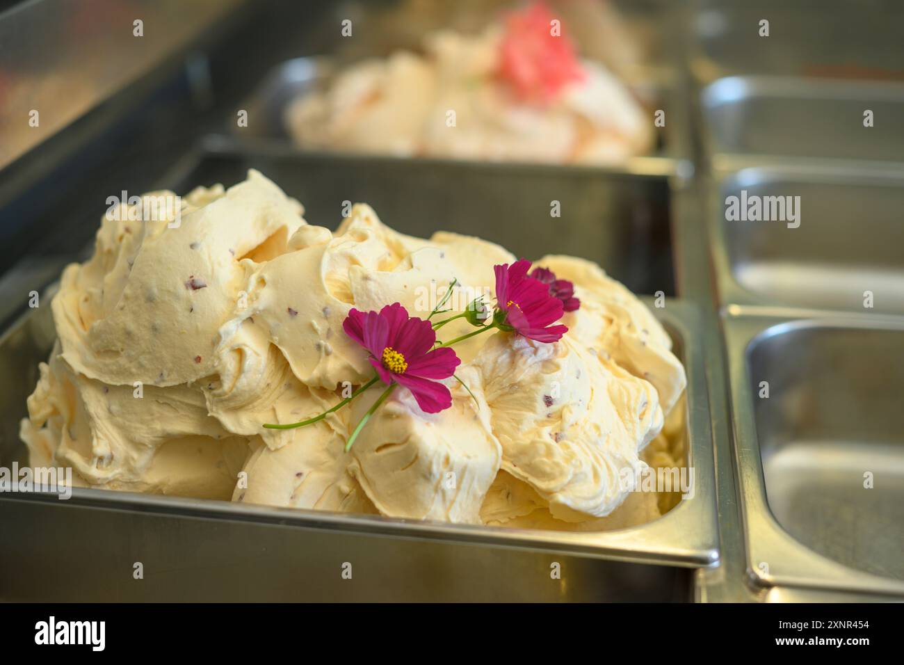 Primo piano di gelato cremoso in un contenitore metallico, guarnito con fiori freschi. Il gelato ha un colore giallo chiaro con sfumature di porpora, sugge Foto Stock