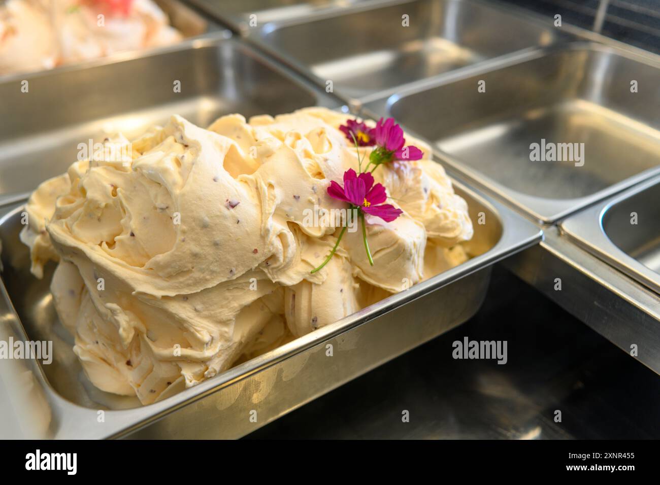Primo piano di gelato cremoso in un contenitore di metallo, decorato con fiori freschi. Il gelato ha una consistenza liscia ed è di colore chiaro, suggerendo un ricco Foto Stock