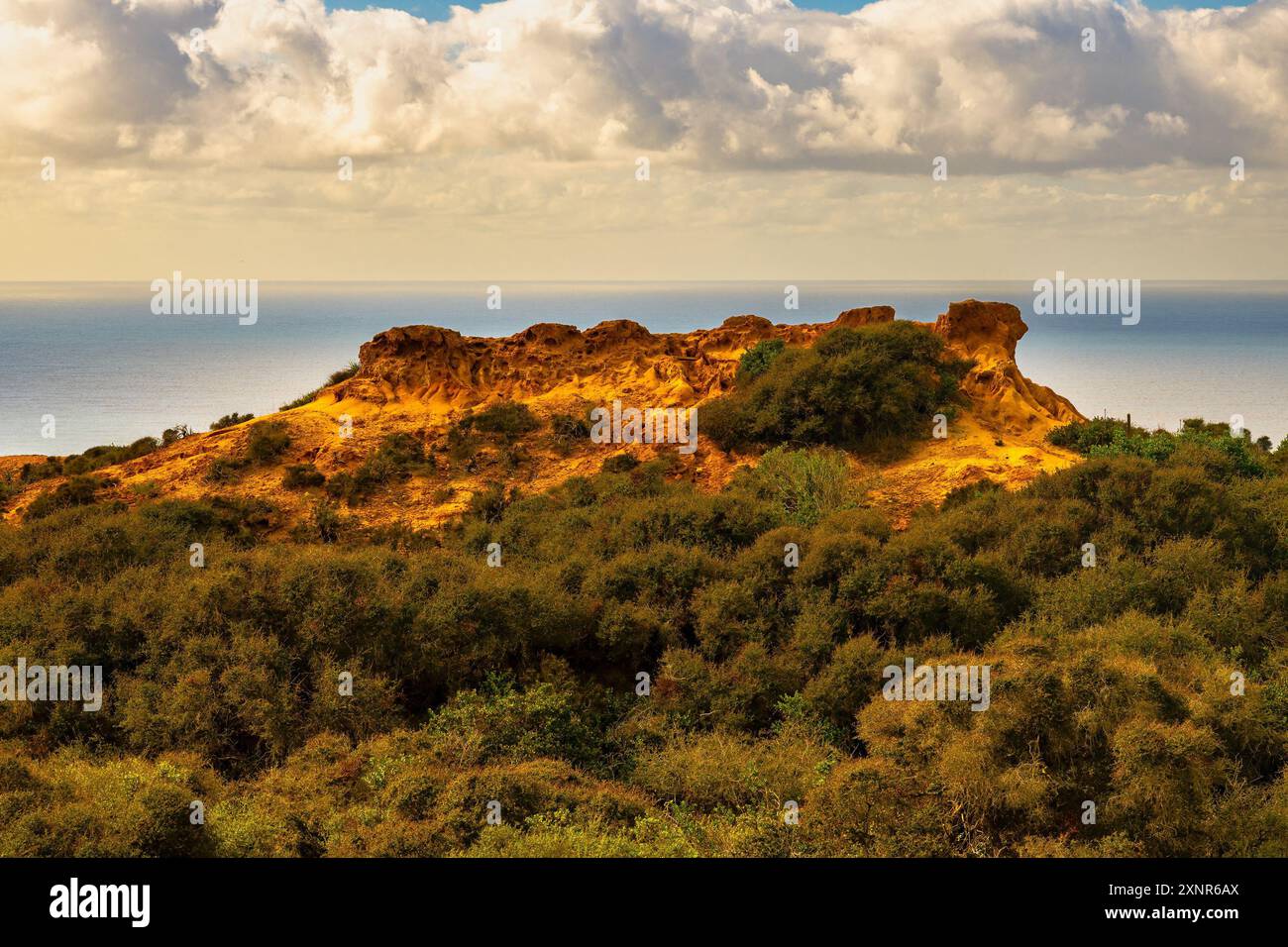 Vista panoramica di una collina rocciosa con vegetazione lussureggiante e l'oceano sullo sfondo sotto un cielo parzialmente nuvoloso al tottery Pines State Park . Foto Stock