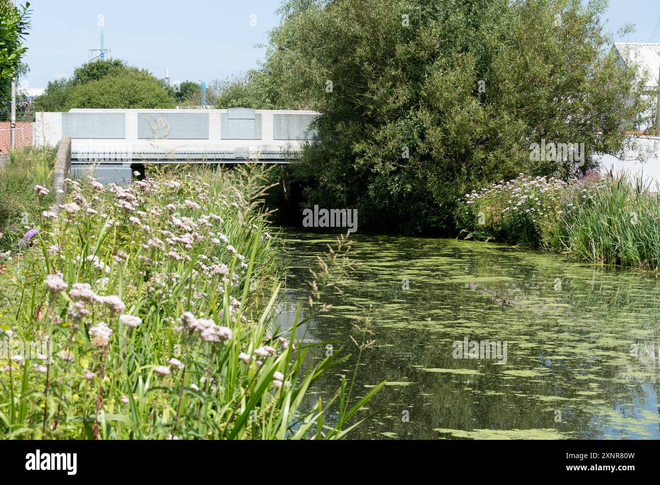 Walsall Canal presso Belper Bridge, Greets Green, West Bromwich, Sandwell, West Midlands, Inghilterra, Regno Unito Foto Stock