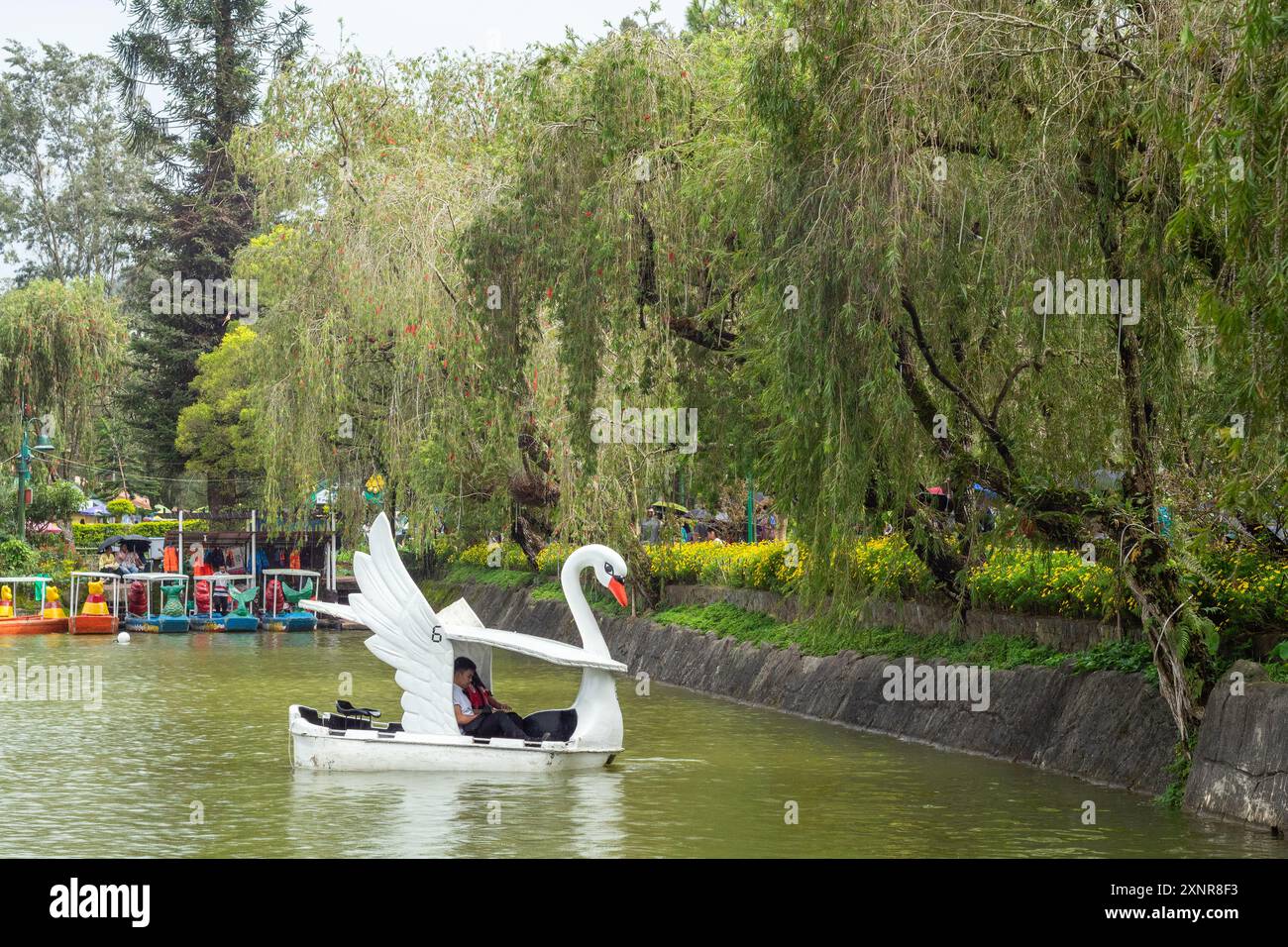 Filippini a bordo di una barca a forma di cigno sul lago Burnham, una popolare località turistica nella città di Baguio, nelle Filippine Foto Stock
