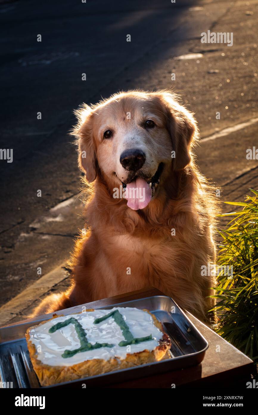 Biglietto Di Auguri Di Compleanno Con Golden Retriever - 145x145 Mm Con Busta Di Lusso
