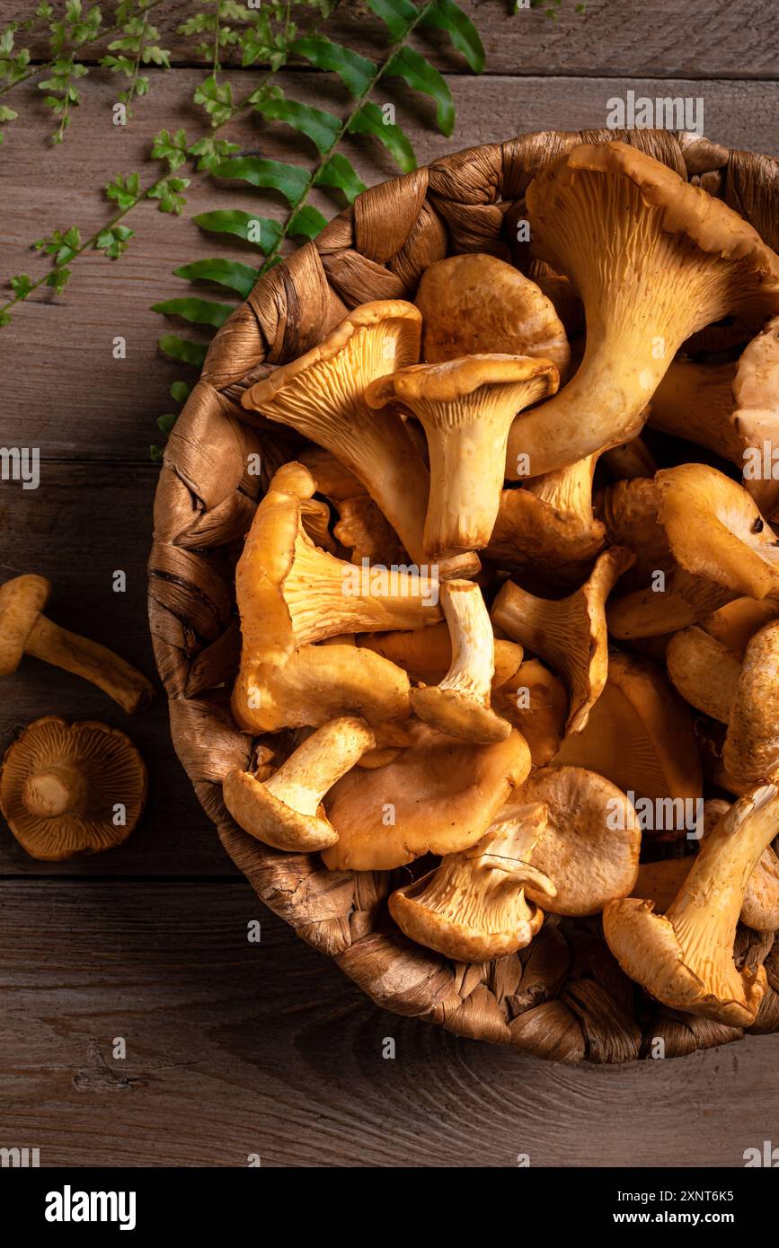 Funghi canterelle nel cestello da vicino su sfondo in legno, vista dall'alto. I funghi della foresta e i lampadari pronti a cucinare. Foto Stock