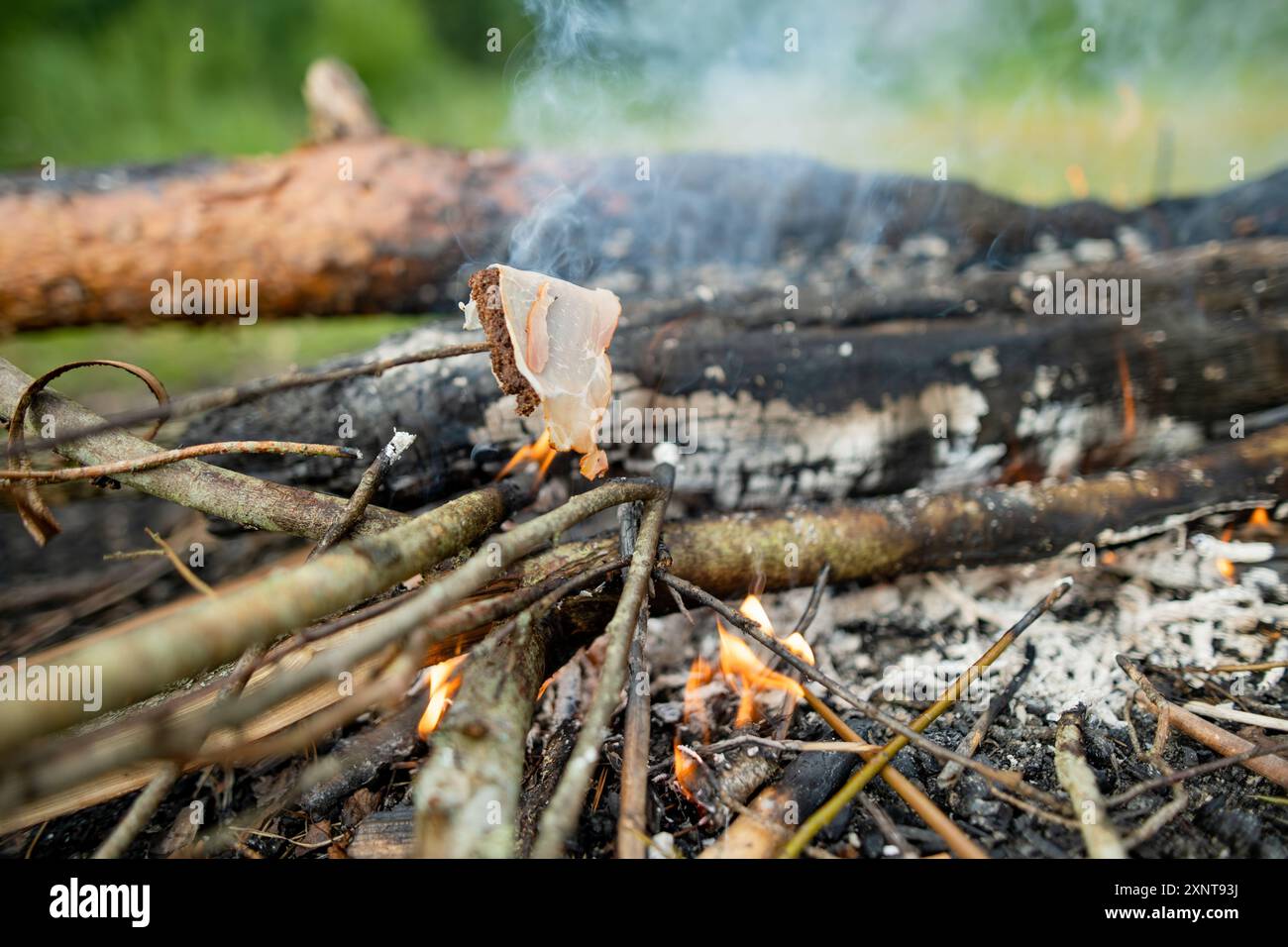 Arrostire pane e bacon al falò. Divertirsi al fuoco del campo. Campeggio nella foresta autunnale. Foto Stock