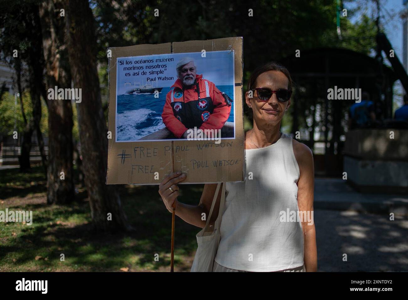 Madrid, Spagna. 2 agosto 2024. Un attivista animale porta uno striscione durante una manifestazione di protesta a Madrid davanti all'ambasciata danese a Madrid per chiedere il rilascio urgente dell'attivista anti-baleniera Paul Watson. Il fondatore dell'organizzazione Sea Shepherd è stato arrestato il 21 luglio dalla polizia danese in Groenlandia e rischia di essere estradato in Giappone, dove avrebbe potuto trascorrere fino a 15 anni di prigione. Credito: SOPA Images Limited/Alamy Live News Foto Stock