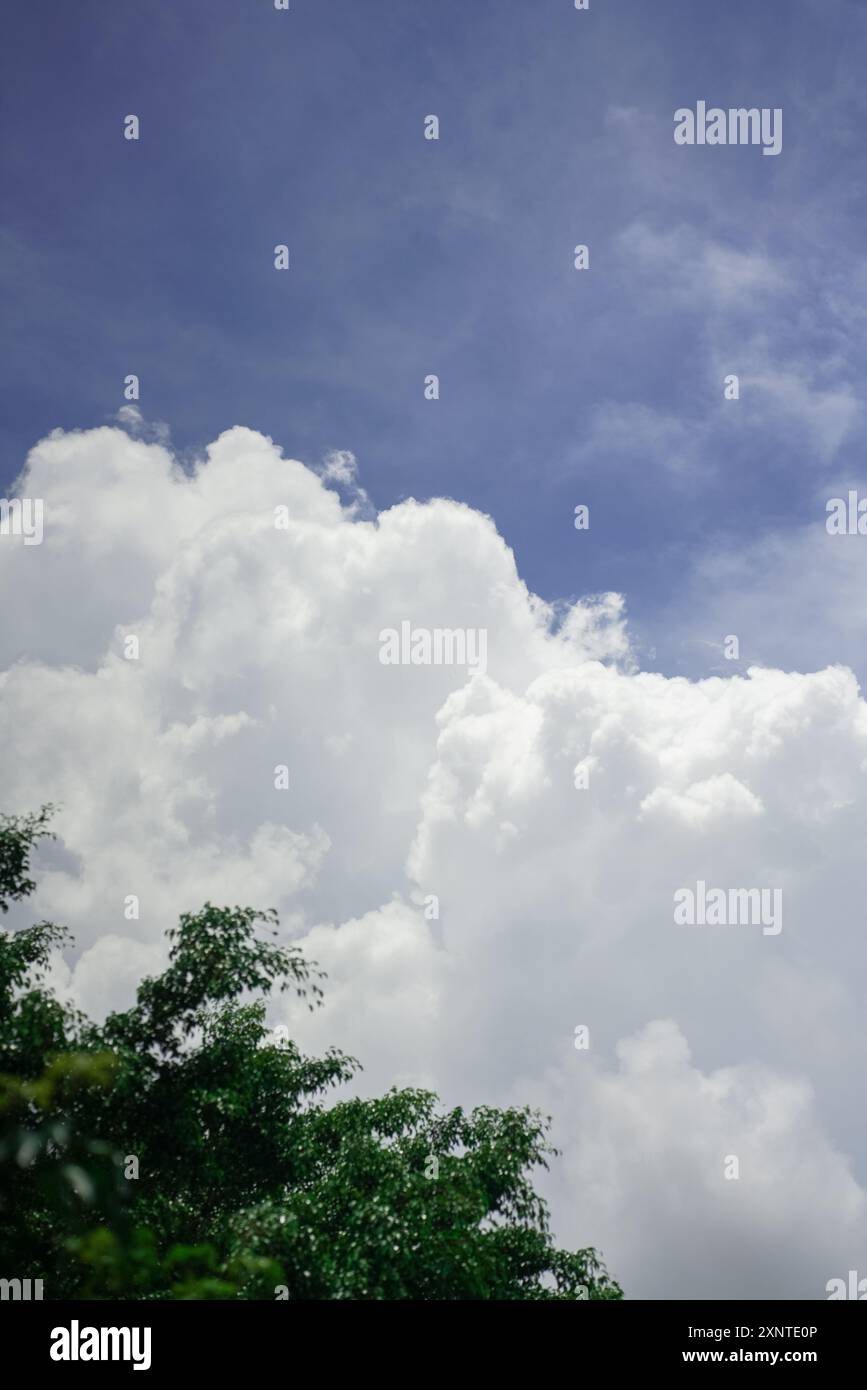 Cumulus congestus durante il giorno Foto Stock