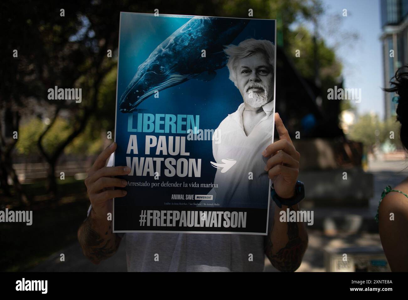 Madrid, Spagna. 2 agosto 2024. Un attivista animale porta uno striscione durante una manifestazione di protesta a Madrid davanti all'ambasciata danese a Madrid per chiedere il rilascio urgente dell'attivista anti-baleniera Paul Watson. Il fondatore dell'organizzazione Sea Shepherd è stato arrestato il 21 luglio dalla polizia danese in Groenlandia e rischia di essere estradato in Giappone, dove avrebbe potuto trascorrere fino a 15 anni di prigione. (Foto di David Canales/SOPA Images/Sipa USA) credito: SIPA USA/Alamy Live News Foto Stock