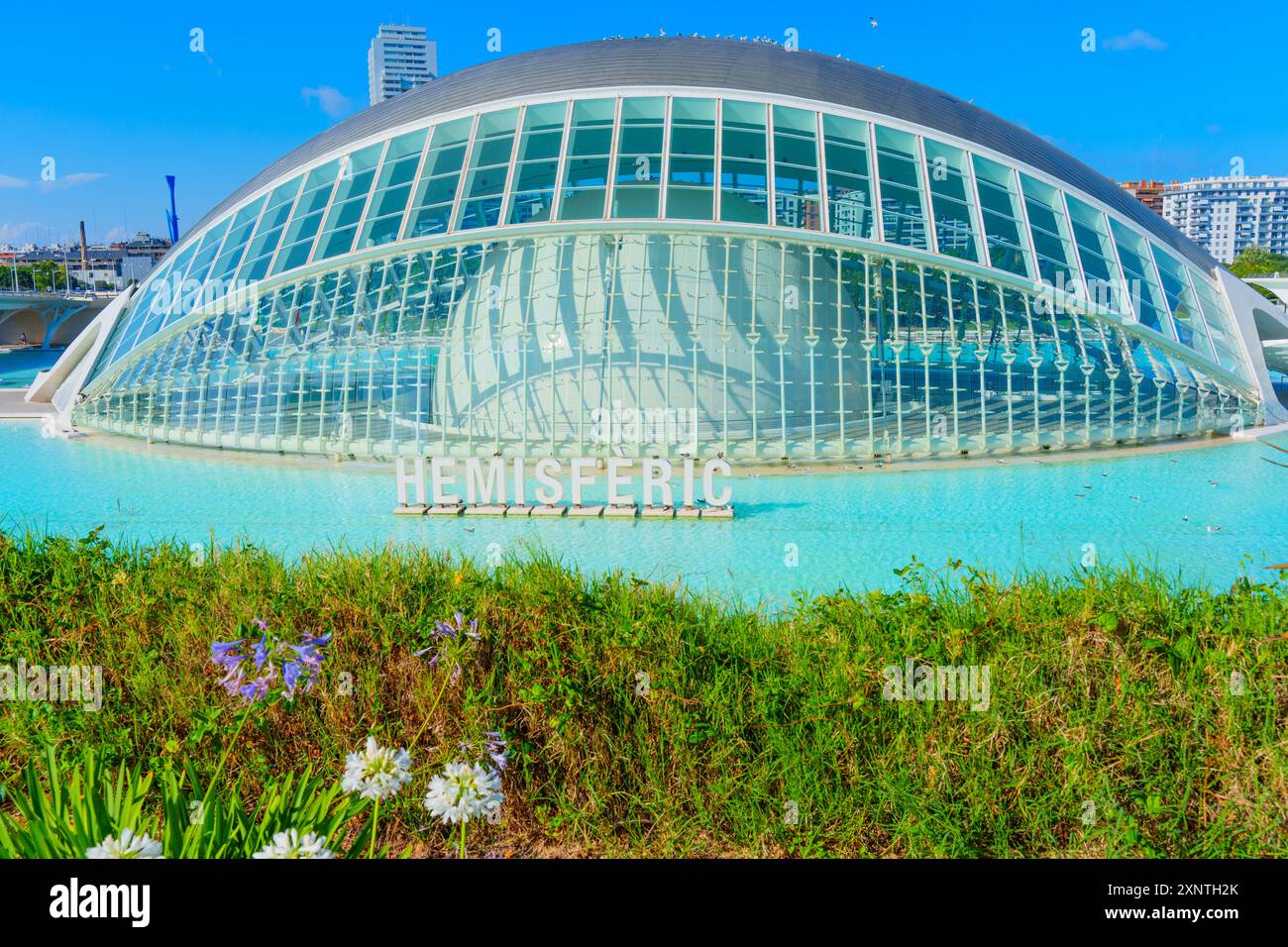 Spettacolari angoli di architettura moderna presso la città delle Arti e delle Scienze, con cieli azzurri cristallini che offrono uno sfondo meraviglioso per lo skyline di Valencia. Foto Stock