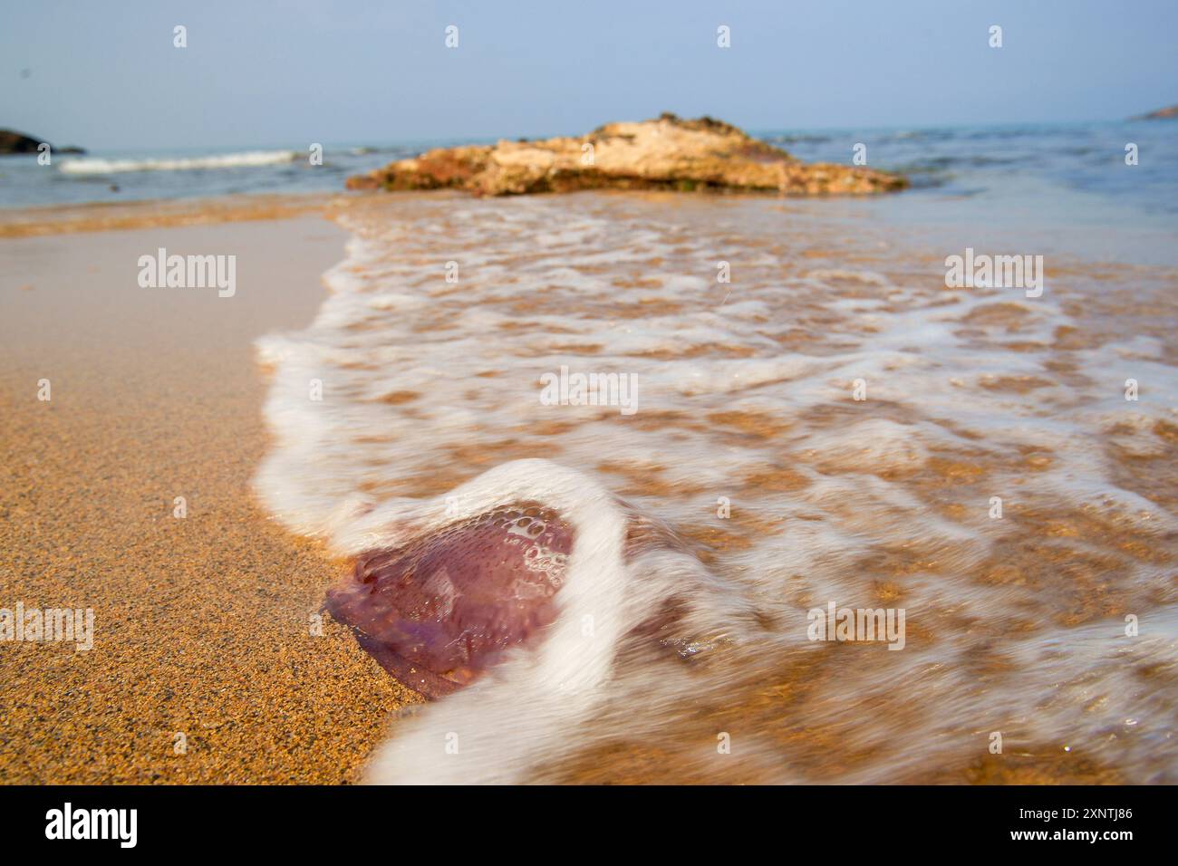 Baia di Pilar, spiaggia di Pilar, Minorca, riserva della Biosfera, Isole Baleari, Spagna Foto Stock