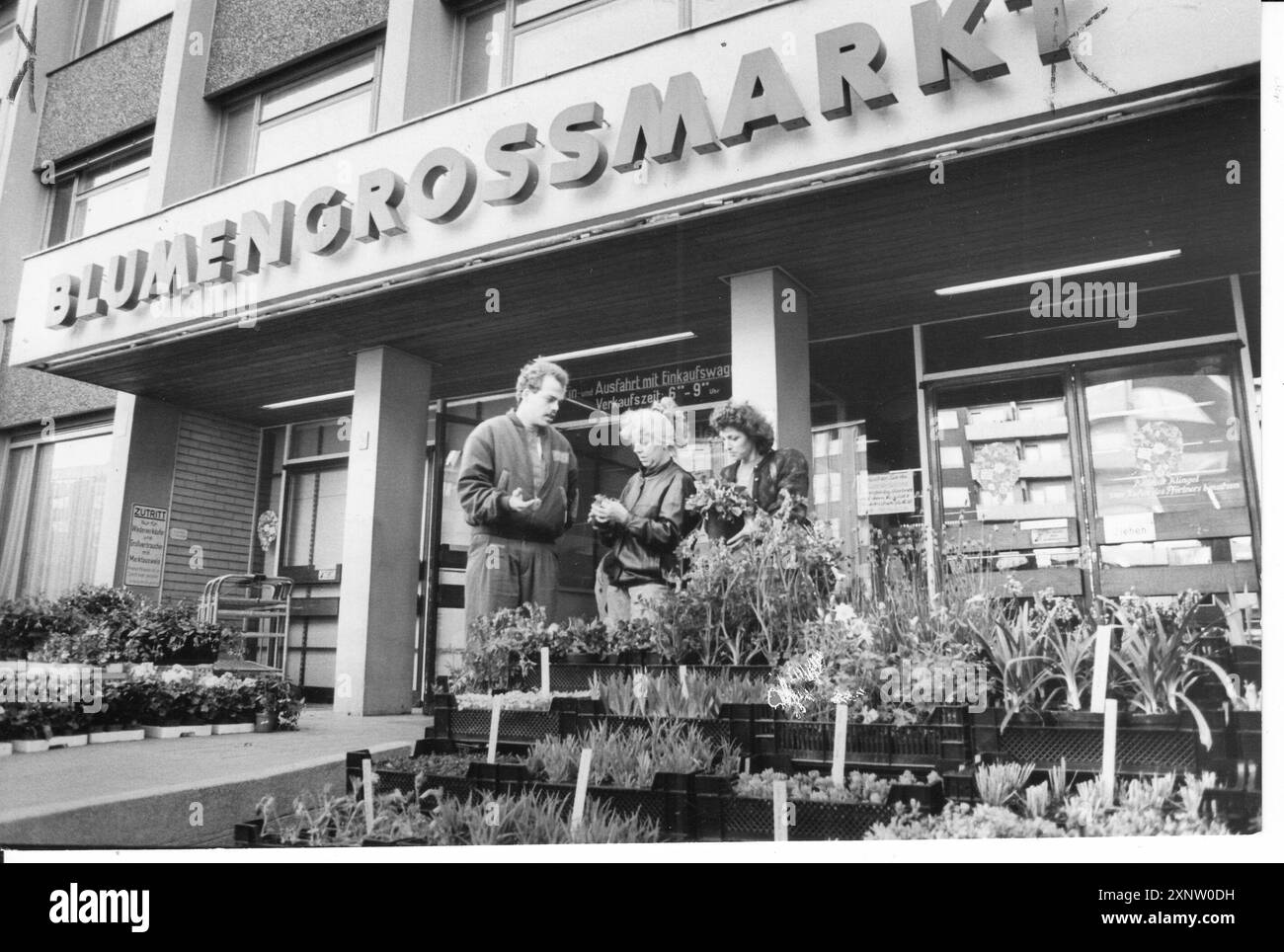Lo stand Karl Förster si trova di fronte al mercato dei fiori all'ingrosso di Berlino-Kreuzberg. Commercio all'ingrosso. Commercio. Mercato all'ingrosso. Mercato. Marketing. Vendite. Fiori e piante ornamentali. Inversione di marcia. Punto di svolta. Foto: MAZ/Peter Sengpiehl, 16.04.1991 [traduzione automatizzata] Foto Stock