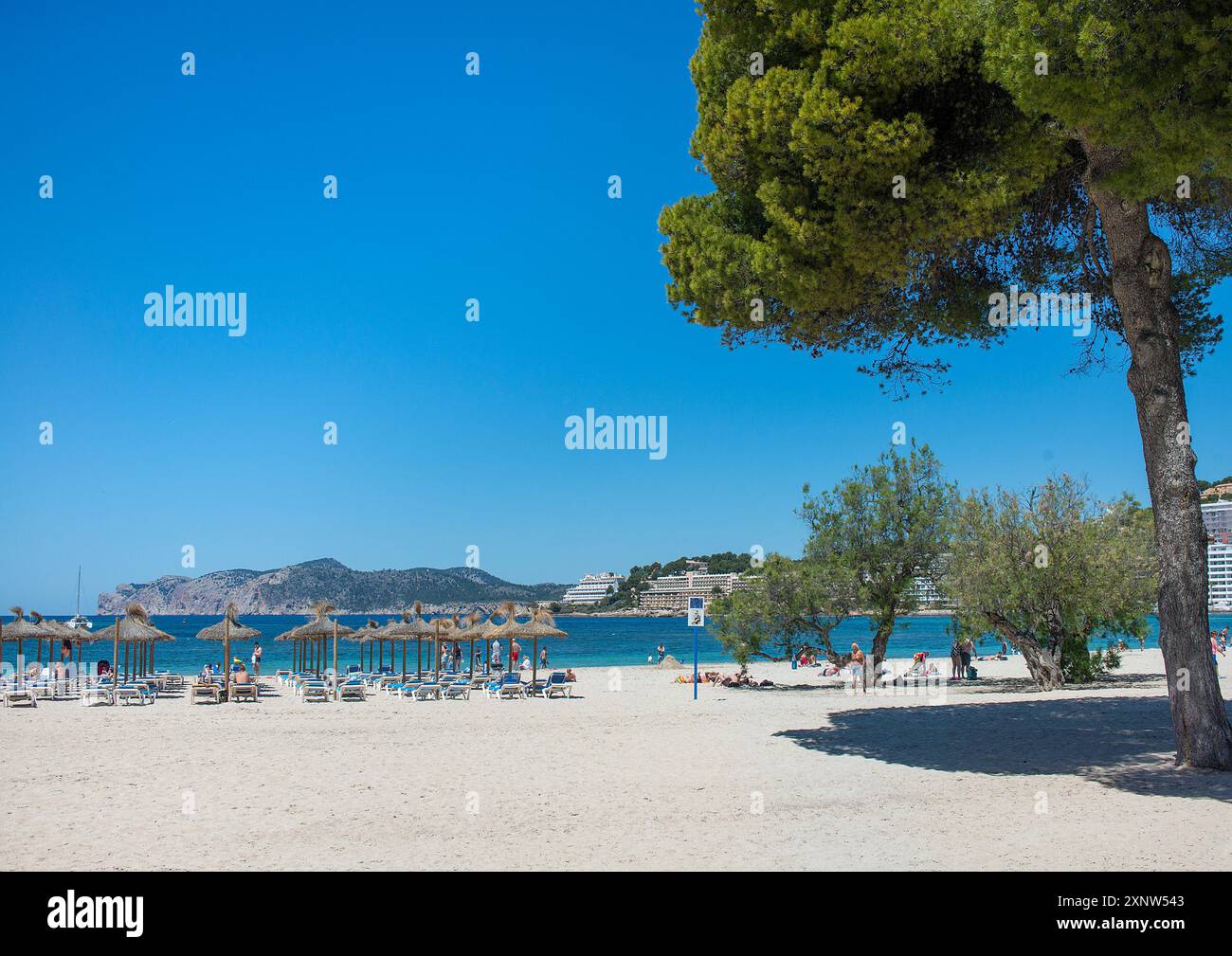 Santa Ponsa Beach, Maiorca, Baleari, Spagna Foto Stock