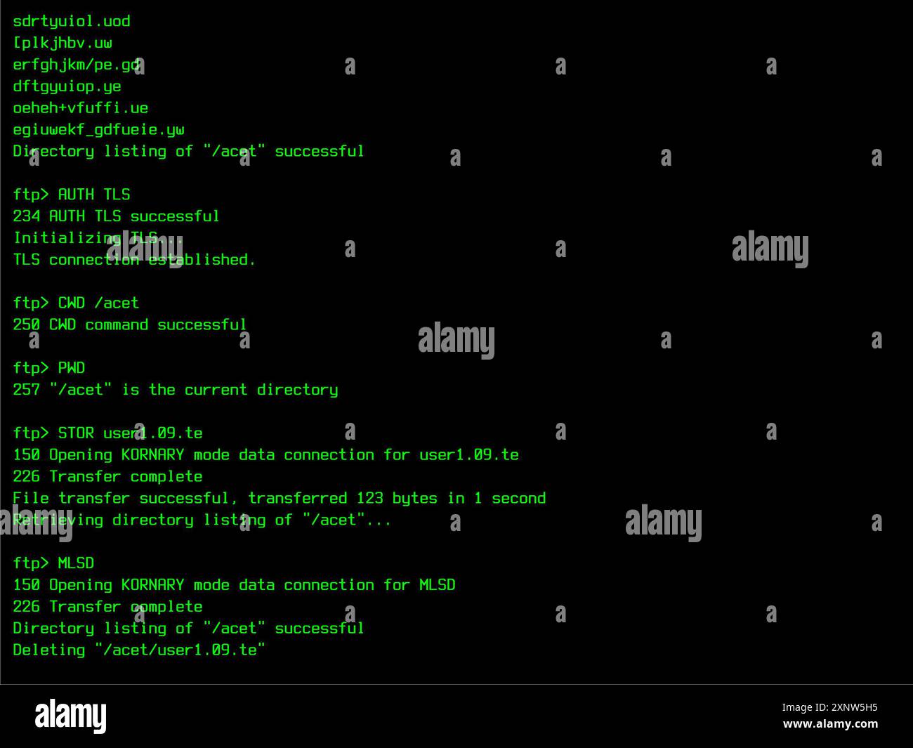 Modello di sequenza di accesso a retro file Manager per display computer 90s, monitor. File Transfer Protocol Interface utilizzato per l'archiviazione su Internet. Mascheratura per la sostituzione dello schermo per un vecchio sistema operativo Foto Stock