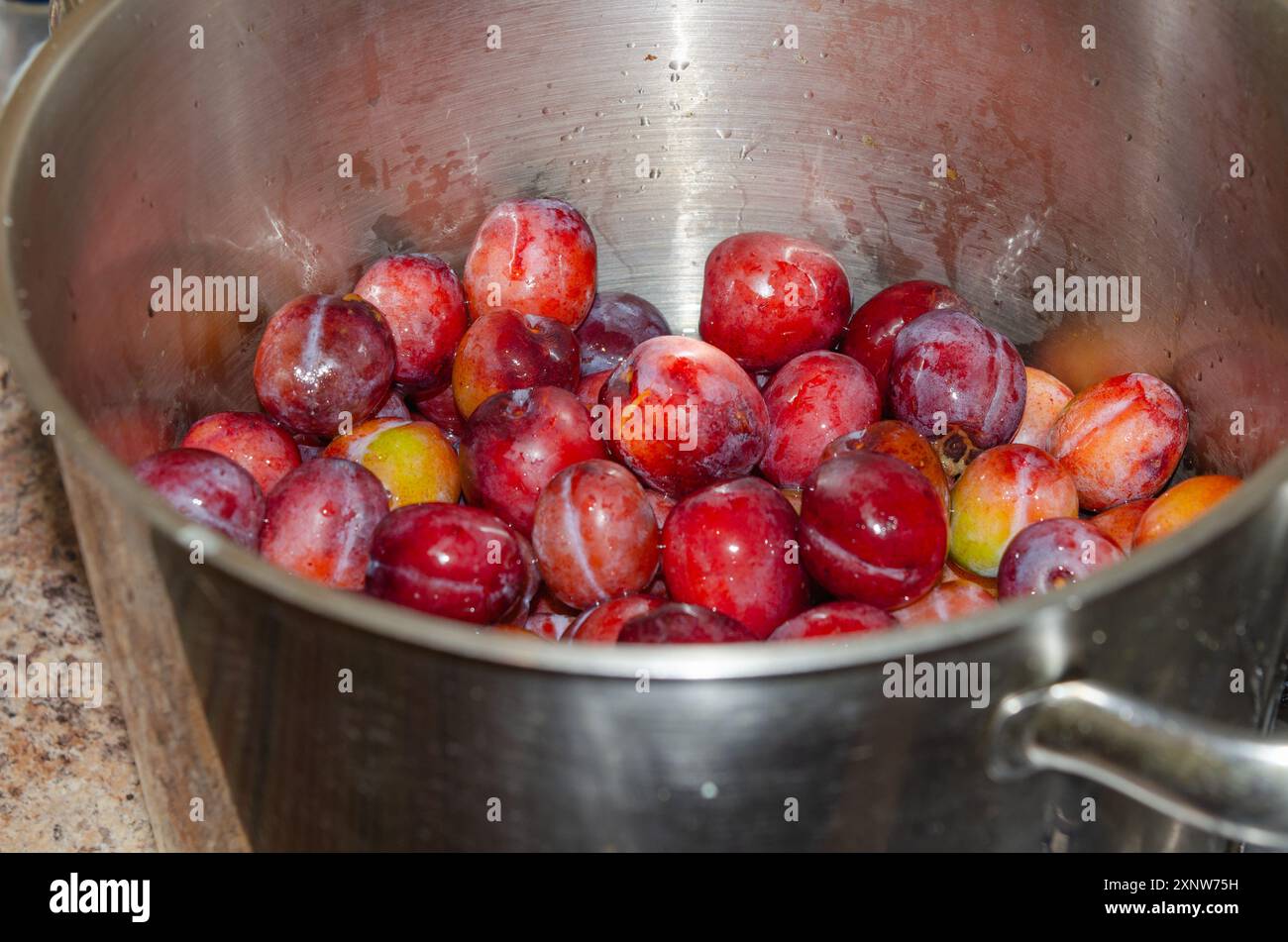 Prugne appena lavate in una padella pronta per la preparazione della marmellata Foto Stock