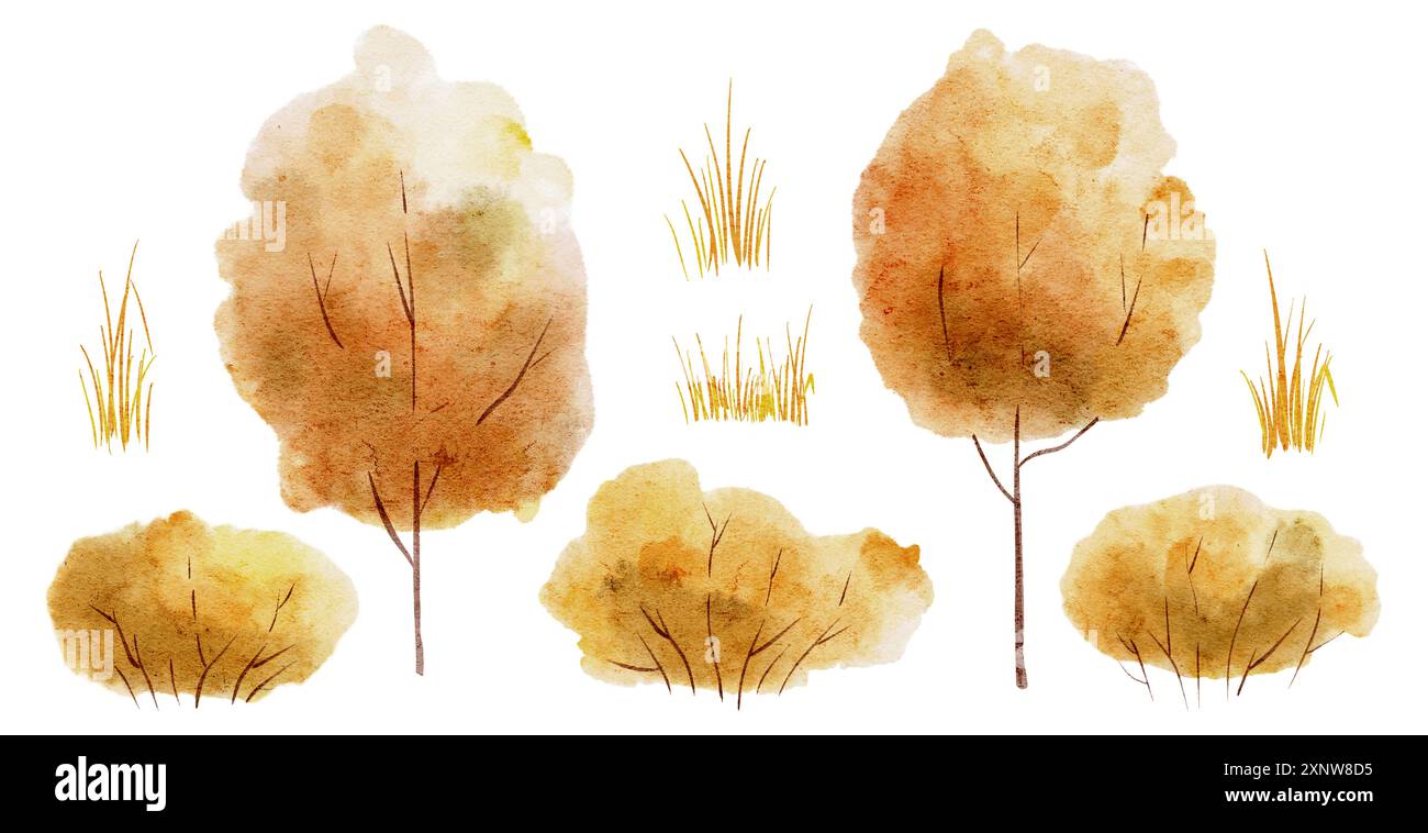 Illustrazione ad acquerello degli alberi autunnali. Disegno per clipart con arbusti arancioni e erba gialla su sfondo isolato. Piante forestali per biglietti d'auguri o inviti. Elementi per la progettazione del raccolto. Foto Stock