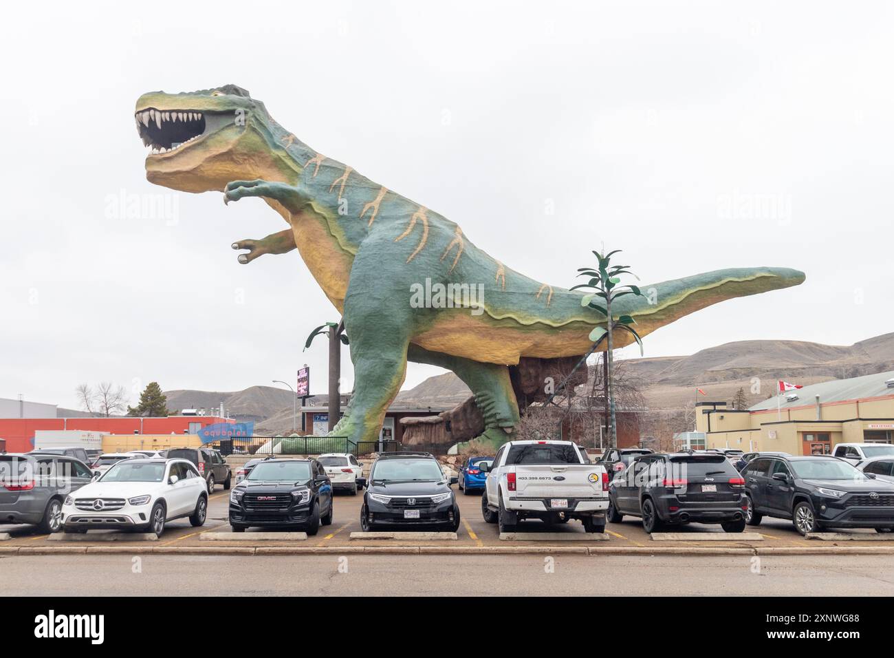 Tyra, la statua di dinosauro più grande del mondo che domina Drumheller, Alberta, un punto di riferimento da non perdere e una sosta fotografica nella capitale canadese dei dinosauri Foto Stock