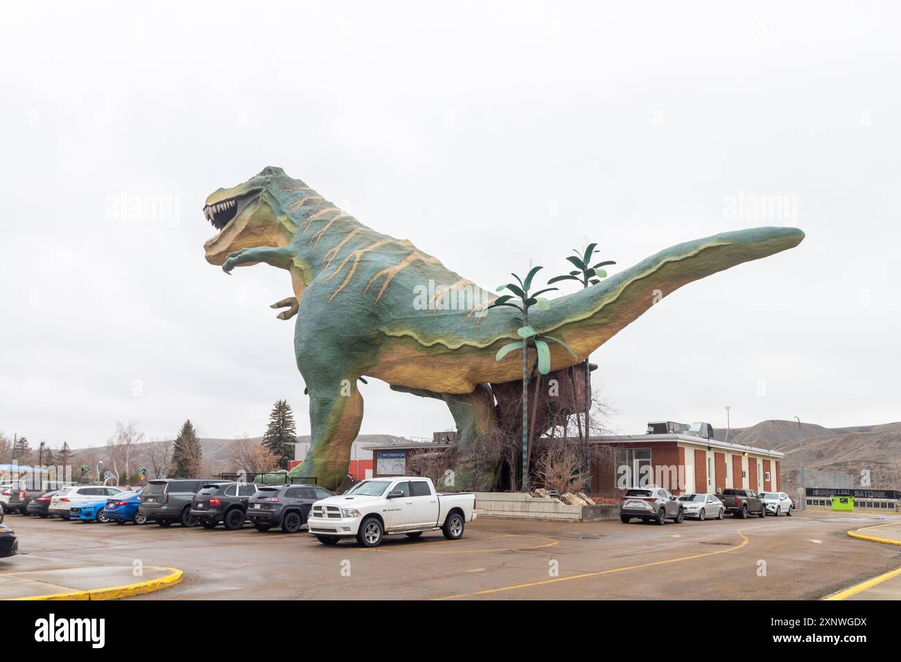 Tyra, la statua di dinosauro più grande del mondo che domina Drumheller, Alberta, un punto di riferimento da non perdere e una sosta fotografica nella capitale canadese dei dinosauri Foto Stock