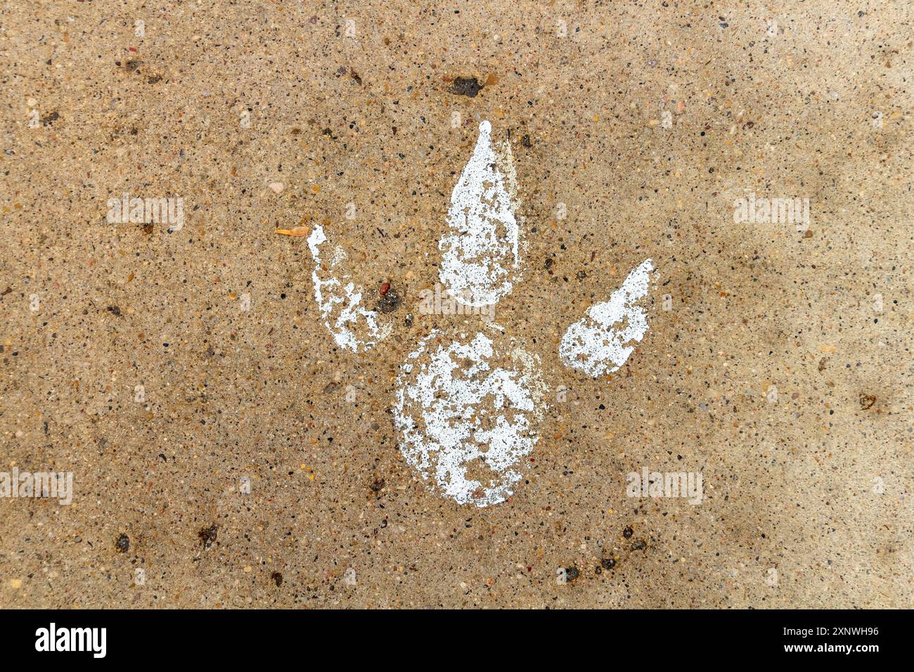 Arte dell'impronta di dinosauro incorporata nel marciapiede di Drumheller, Alberta, Canada, la capitale mondiale dei dinosauri Foto Stock