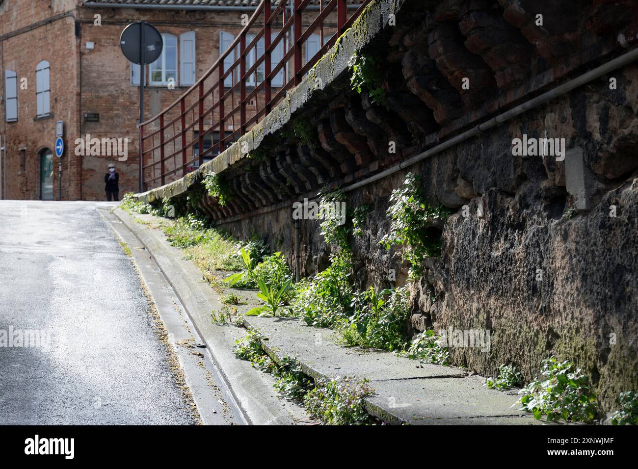 Francia, regione Occitania, Gaillac, rampa per PL. Philadelphia Thomas (Un viadotto in disuso) da Place de la Courtade Foto Stock