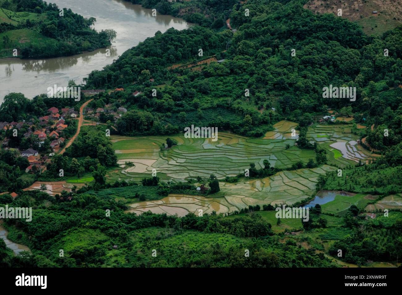 Risaie lungo il fiume Nam Ou, Nong Khiaw, Laos Foto Stock