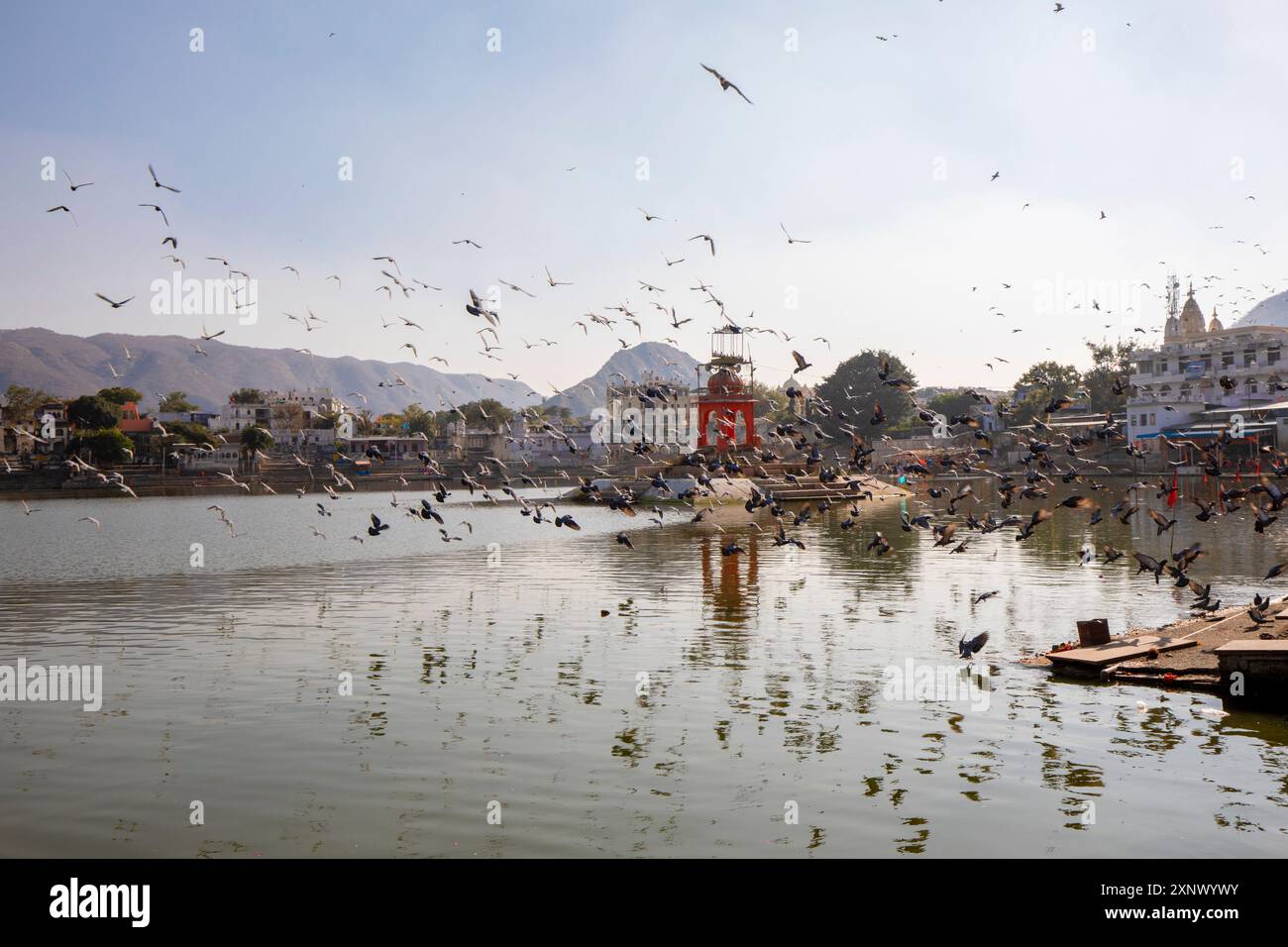 Lago Pushkar, Pushkar, India, Asia meridionale, Asia Foto Stock