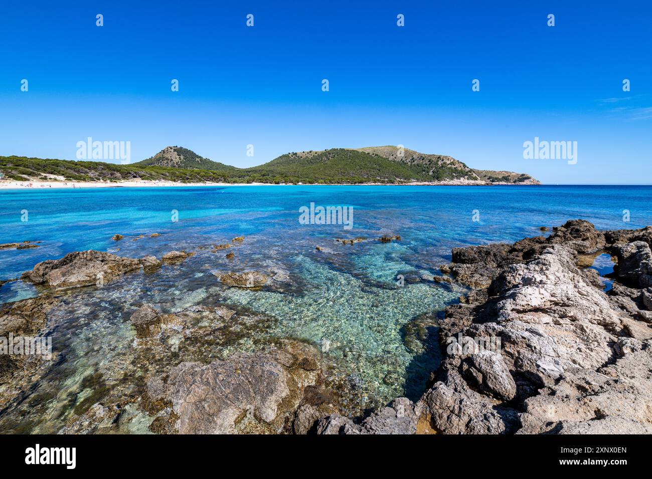 Spiaggia di Agulla, Maiorca, isole Baleari, Spagna, Mediterraneo, Europa Foto Stock