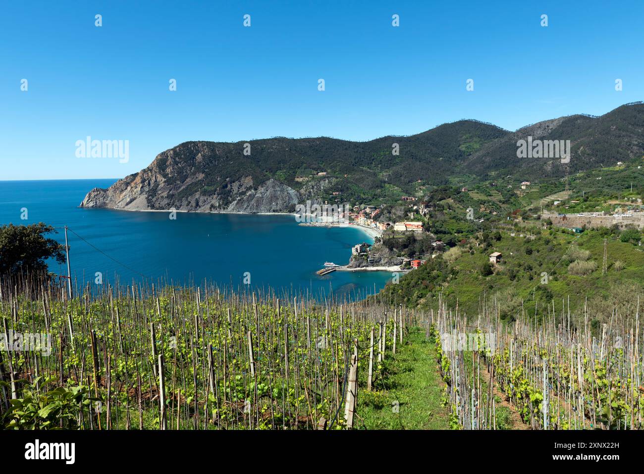 I vigneti costeggiano il sentiero delle cinque Terre sopra la città balneare di Monterosso al Mare, le cinque Terre, patrimonio dell'umanità dell'UNESCO, Liguria, Italia, Europa Foto Stock