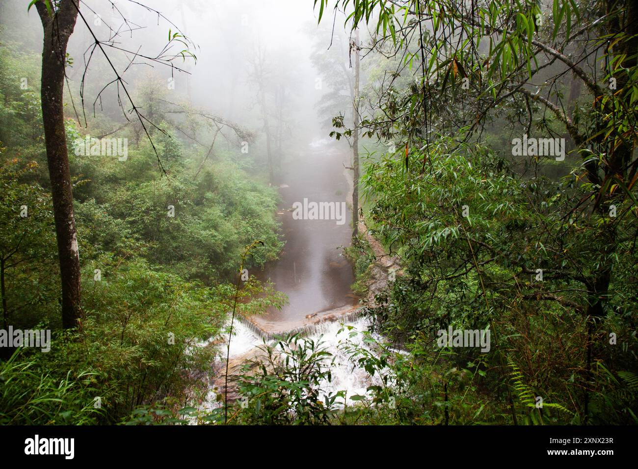 Tinh Yeu (cascata dell'amore) nella giungla vicino a sa Pa (Sapa), provincia di Lao Cai, Vietnam, Indocina, Sud-est asiatico, Asia Foto Stock