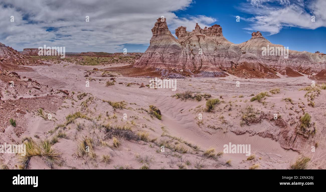 Alte torri hoodoo nella valle sotto Blue Mesa nel Petrified Forest National Park, Arizona, Stati Uniti d'America, Nord America Foto Stock