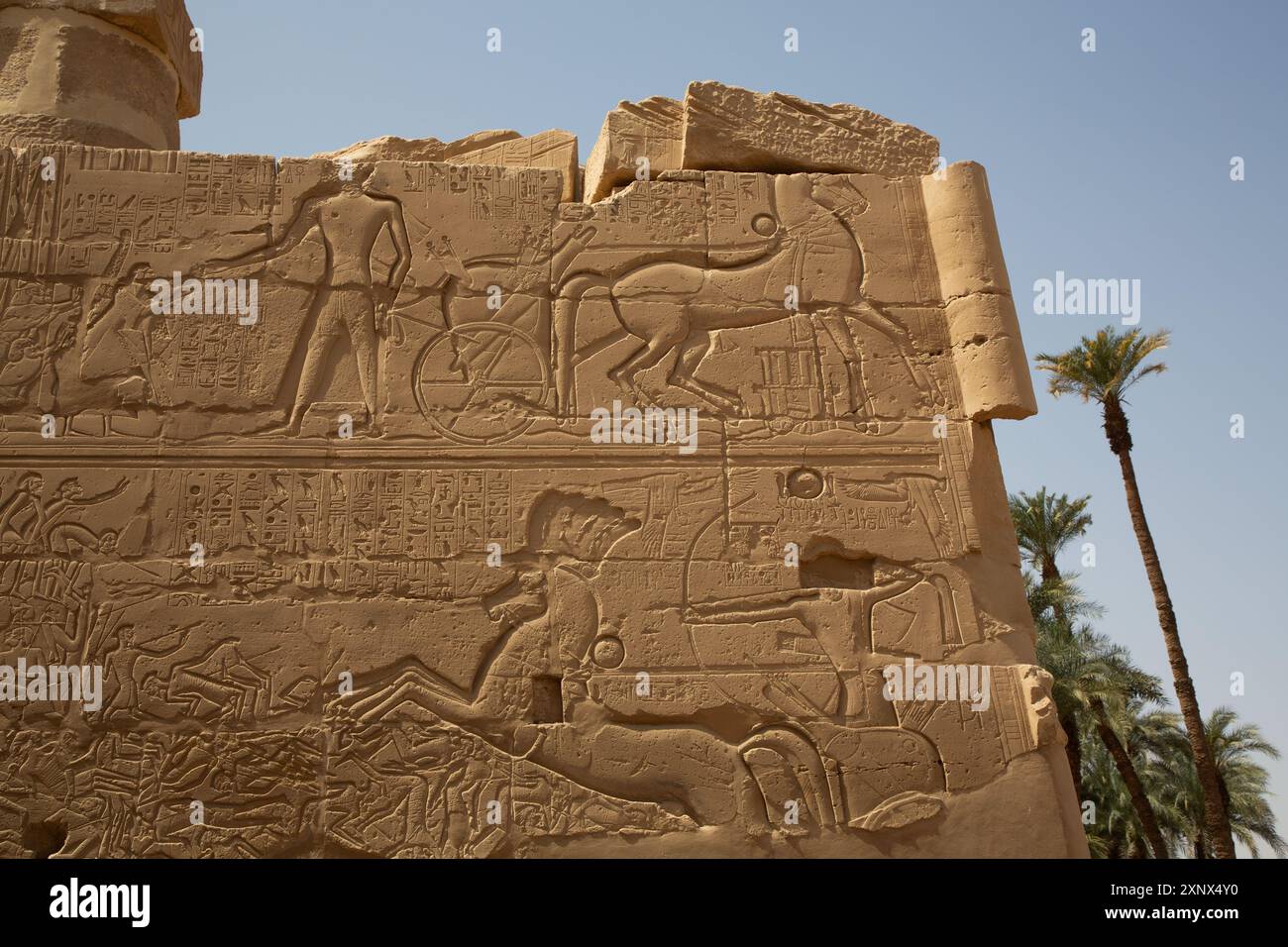 Bassorilievo, muro, complesso del tempio di Karnak, sito patrimonio dell'umanità dell'UNESCO, Luxor, Egitto, Nord Africa, Africa Foto Stock