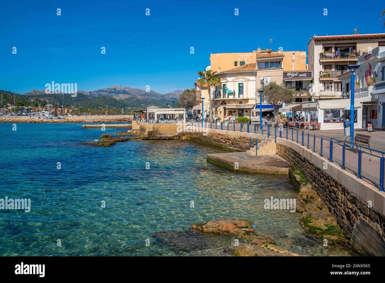 Vista dei bar e dei caffè di Port d'Andratx, Maiorca, Isole Baleari, Spagna, Mediterraneo, Europa Foto Stock