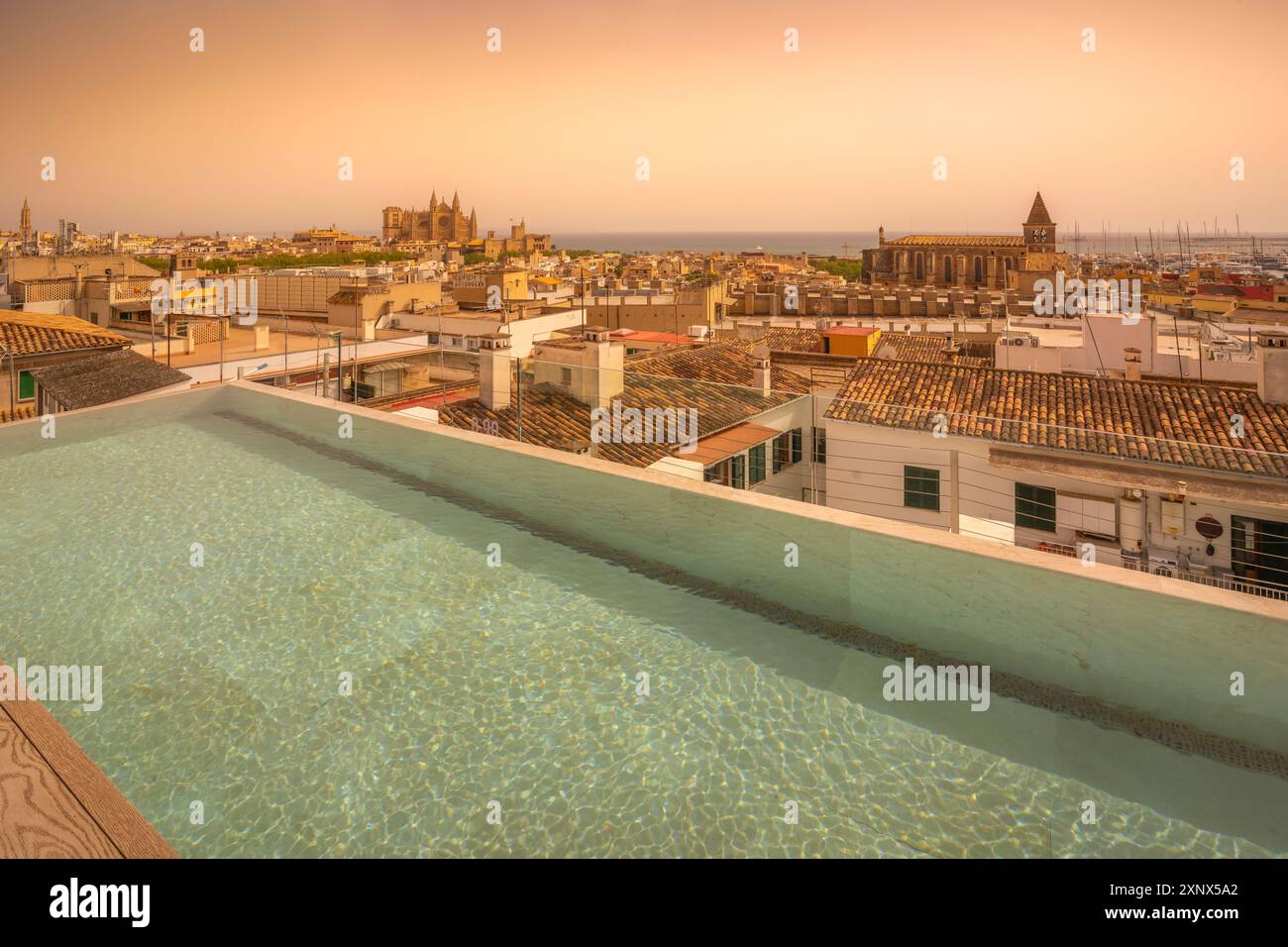 Vista della Catedral-Basilica de Santa Maria de Mallorca e della piscina sul tetto, Palma de Mallorca, Maiorca, Isole Baleari, Spagna, Mediterraneo, Europa Foto Stock