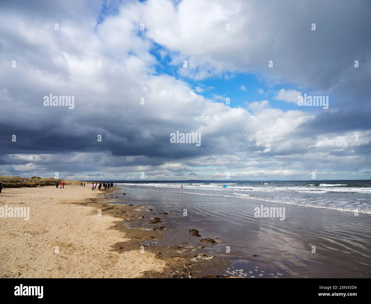 Passeggiate sulle West Sands a St. Andrews, Fife, Scozia, Regno Unito, Europa Foto Stock