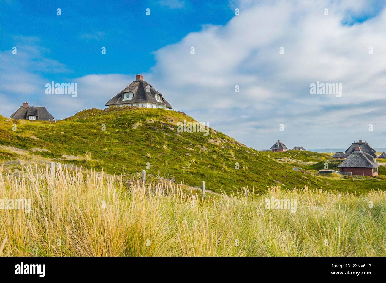 Ville con tetto in paglia, Kersig estate, Hoernum, Sylt Foto Stock